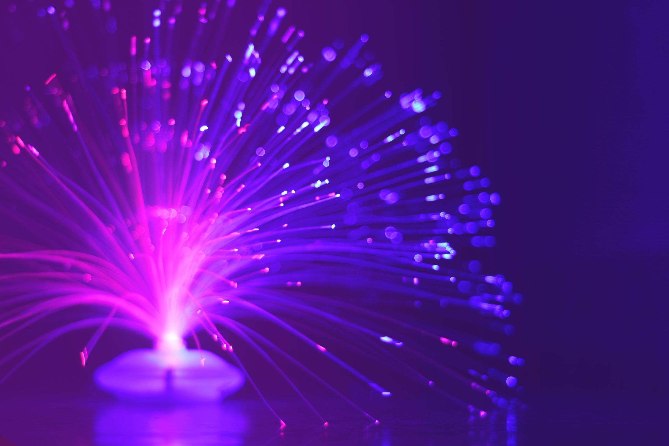 Lighted Purple Fiber Optic Lamp Lighted purple fiber optic lamp, representing UCSTAK's AI Knowledge Vault & Search feature.